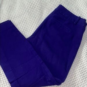 J. Crew Stretch Dressing Pants